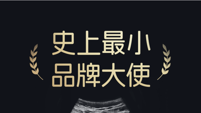 《胎動商業：美好蘊育用一張B超圖引爆的母嬰營銷新紀元》